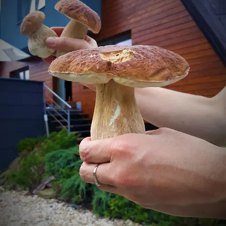 Spa & Pool Vila Anna アパート *